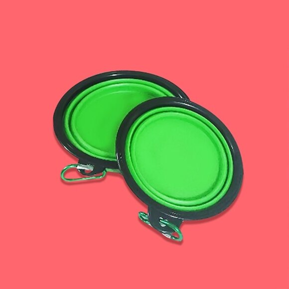 2-in-1 Collapsible Feeding Bowl - Picture 10 of 16